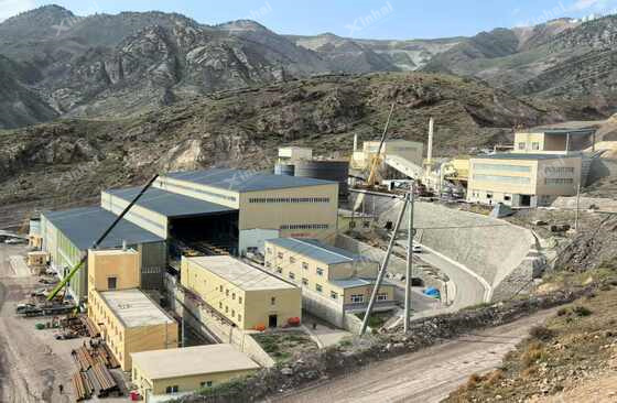 China-Xinjiang-2-Million-tpa-Gold- Renovation -and -Expansion -Flotation Plant.jpg